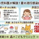 小児科専門医が解説する、夏の流行感染症「ヘルパンギーナ」と「手足口病」の症状の違いやホームケアのポイントをまとめたインフォグラフィック画像。ヘルパンギーナは38〜40℃の高熱とのどの奥の水ぶくれ・強い痛みが特徴。手足口病は手・足・口の発疹や水ぶくれが特徴です。共通のおうちケアとして水分補給（麦茶・経口補水液）やのどごしの良い食事（ゼリーやプリン）、また受診の目安として水分が取れない時や高熱が3日以上続く場合などの注意点が可愛らしい動物や子どものイラストと共に記載されています。武蔵小杉 森のこどもクリニック 小児科・皮膚科。