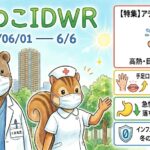 「武蔵小杉 森のこどもクリニック小児科・皮膚科」の感染症週報「もりのこIDWR」（2026/06/01〜6/6）のアイキャッチ画像。紺色のスクラブと白衣（胸ポケットに「くま先生」のネームカード）を着てマスクをしたクマの医師と、マスク姿のリスの看護師が、武蔵小杉の街並みと森を背景に並んでいます。左下には小さくクリニックのロゴが配置されています。右側の動向パネルには、赤枠で「【特集】アデノウイルス（増加）高熱・目の充血に注意。」、黄枠で「手足口病・ヘルパンギーナ（微増）夏風邪本格化。」、緑枠で「急性胃腸炎（減少）落ち着き始めました。」、青枠で「インフルA・B・コロナ（ゼロ継続）冬の流行は終息を維持。」と記載され、それぞれ対応するアイコンが添えられています。