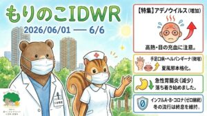 「武蔵小杉 森のこどもクリニック小児科・皮膚科」の感染症週報「もりのこIDWR」(2026/06/01〜6/6)のアイキャッチ画像。紺色のスクラブと白衣(胸ポケットに「くま先生」のネームカード)を着てマスクをしたクマの医師と、マスク姿のリスの看護師が、武蔵小杉の街並みと森を背景に並んでいます。左下には小さくクリニックのロゴが配置されています。右側の動向パネルには、赤枠で「【特集】アデノウイルス(増加)高熱・目の充血に注意。」、黄枠で「手足口病・ヘルパンギーナ(微増)夏風邪本格化。」、緑枠で「急性胃腸炎(減少)落ち着き始めました。」、青枠で「インフルA・B・コロナ(ゼロ継続)冬の流行は終息を維持。」と記載され、それぞれ対応するアイコンが添えられています。